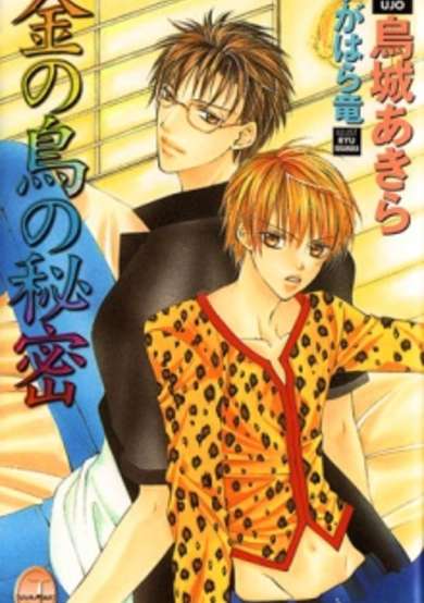Copertina di Kin no Tori no Himitsu