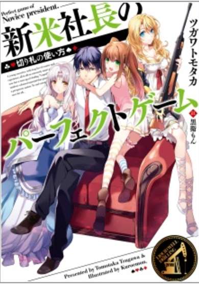 Copertina di Perfect Game of Novice President