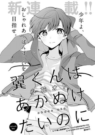 Copertina di Tsubasa-kun wa Akanuketai noni