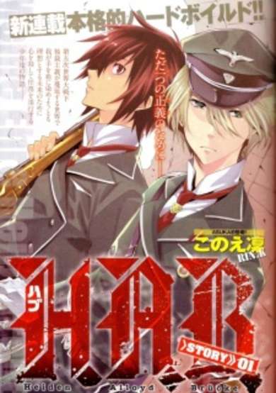 Copertina di Heiden Alloyd Brücke