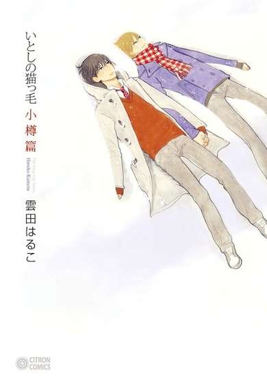 Copertina di Itoshi no Nekokke: Otaru-hen