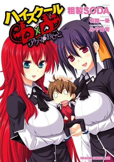 Copertina di High School DxD: The Work of a Devil