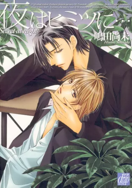 Copertina di Yoru wa Himitsu ni...