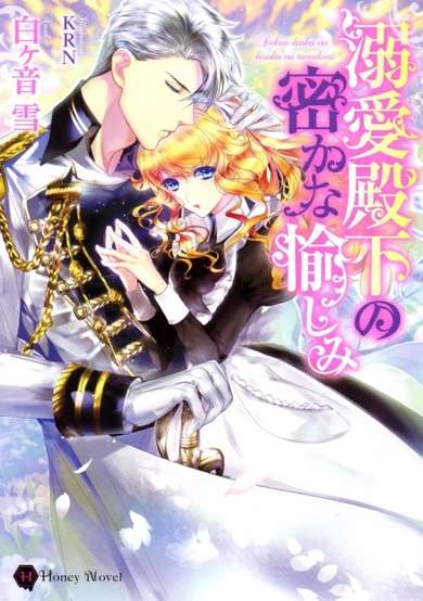 Copertina di Dekiai Denka no Hisoka na Tanoshimi