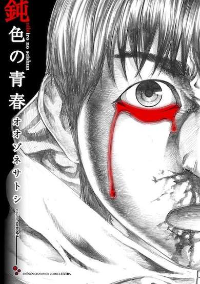 Copertina di A Dark, Grey Youth
