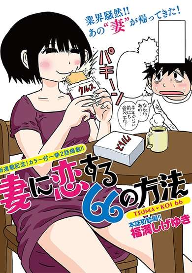 Copertina di Tsuma ni Koisuru 66 no Houhou