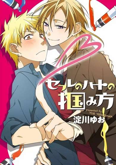 Copertina di Sex Friend no Heart no Tsukamikata