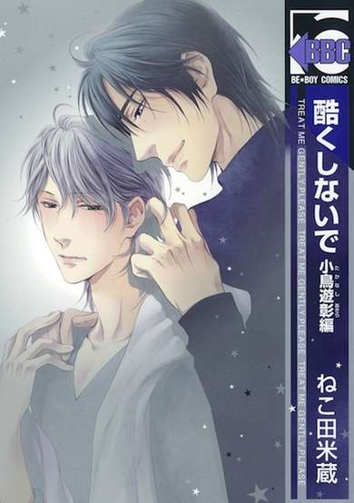 Copertina di Akira Takanashi's Story