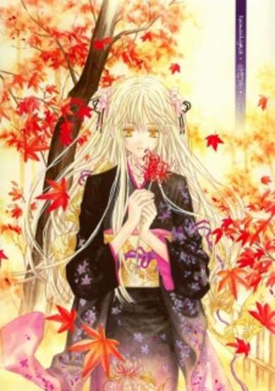 Copertina di Tale of a White Night