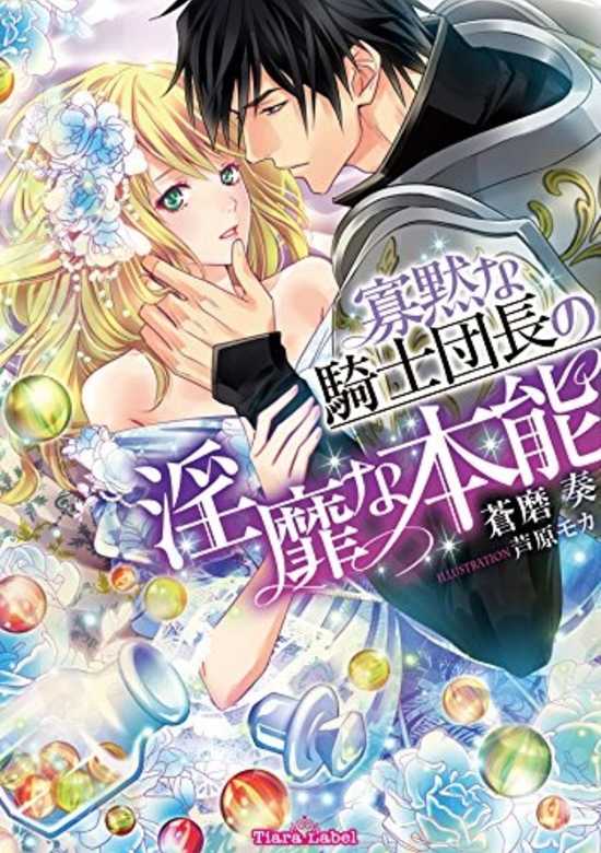 Copertina di Kamoku na Kishi Danchou no Inbi na Honnou