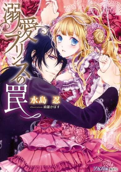 Copertina di Dekiai Princess no Wana