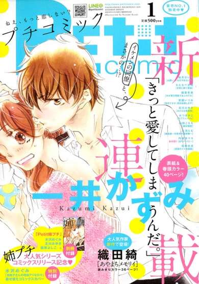 Copertina di Kitto Aishiteshimaunda.
