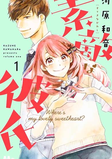 Copertina di Suteki na Kareshi