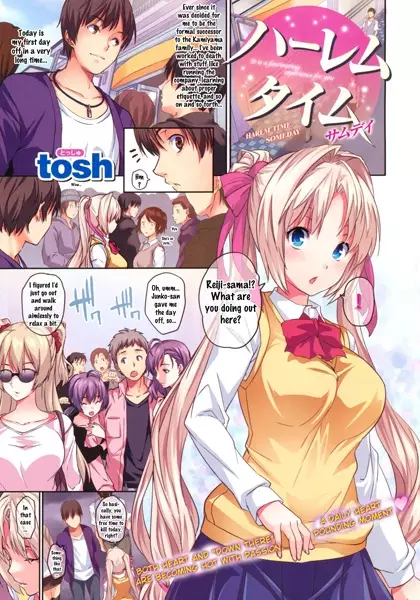 Copertina di Harem Time Someday