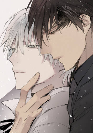 Copertina di Royal Servant