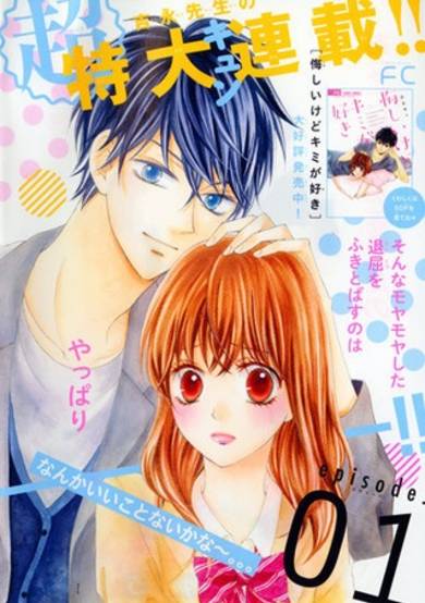 Copertina di Koi ni Naranai Wake ga Nai