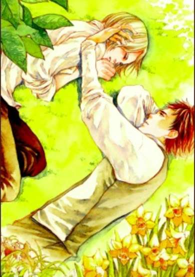 Copertina di Flower Shadow's Memory