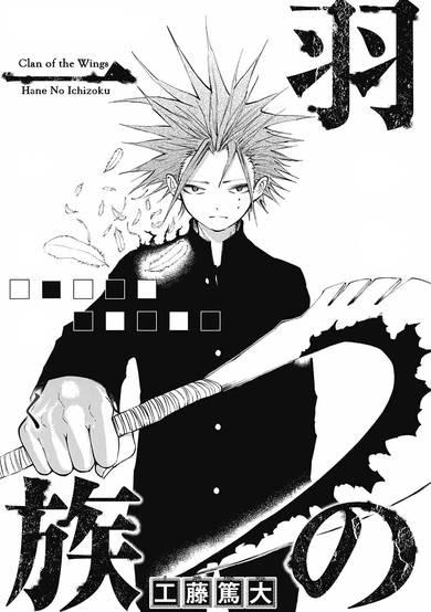 Copertina di Clan of the Wings