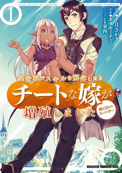 Copertina di Isekai de Skill wo Kaitai shitara Cheat na Yome ga Zoushoku Shimashita: Gainen Kousa no Structure