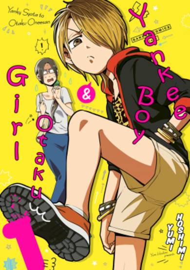 Copertina di Yankee Boy and Otaku Girl
