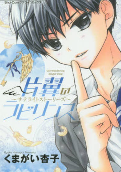 Copertina di The Wandering Single Wing - Satellite Stories -