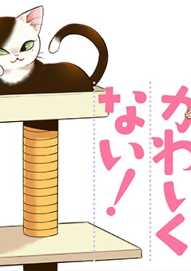 Copertina di Kareshi no Neko ga Kawaikunai
