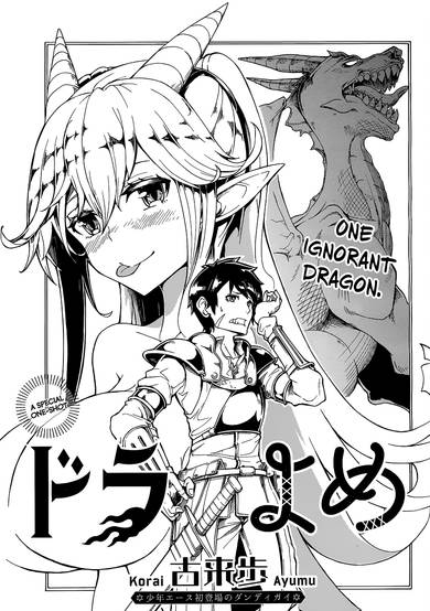 Copertina di Dragon Wife