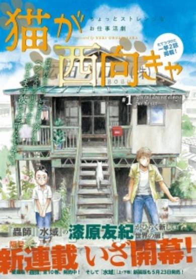 Copertina di Neko ga Nishi Mukya