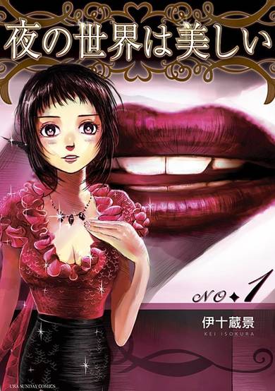 Copertina di Yoru no Sekai wa Utsukushii