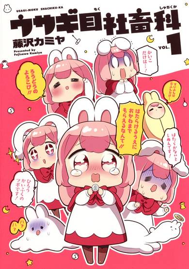 Copertina di Department of Corporate Slave Rabbits