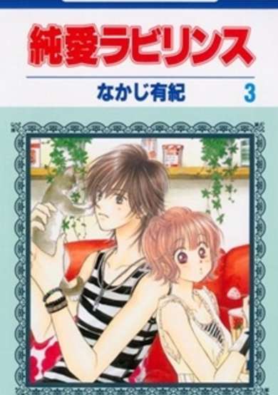 Copertina di Junai Labyrinth