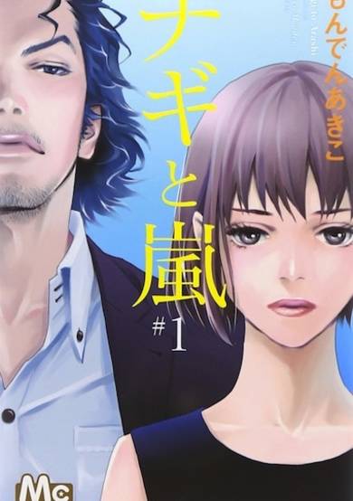 Copertina di Nagi to Arashi