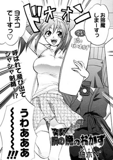 Copertina di Totsugeki!! Tonari no Ban no Okazu