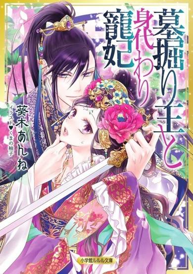 Copertina di Hakahori Ou to Migawari Chouhi
