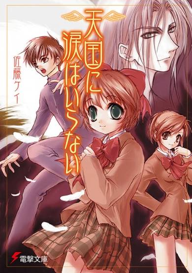 Copertina di Tengoku ni Namida wa Iranai