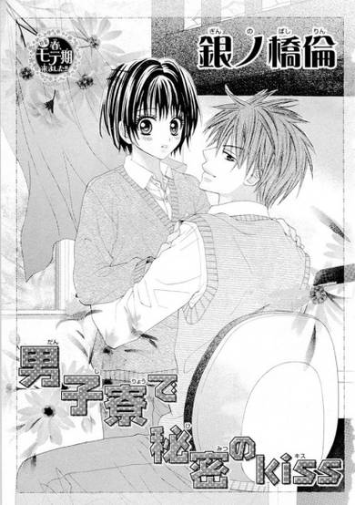 Copertina di Danshiryou de Himitsu no Kiss