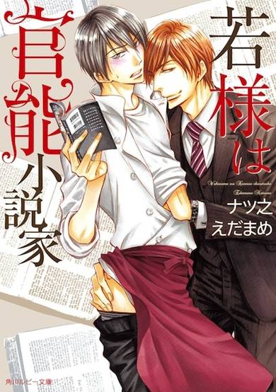 Copertina di Wakasama wa Kannou Shousetsuka