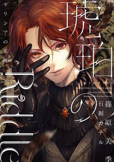 Copertina di Riddle the Guardian of Amber