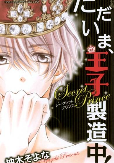 Copertina di Tadaima, Ouji Seizouchuu!