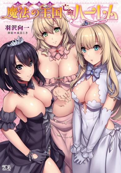 Copertina di Wagaya wa Mahou no Oukoku Boumei Harem