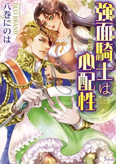 Copertina di Kowamote Kishi wa Shinpaishou