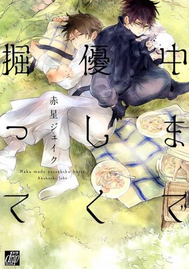 Copertina di Naka made Yasashiku Hotte