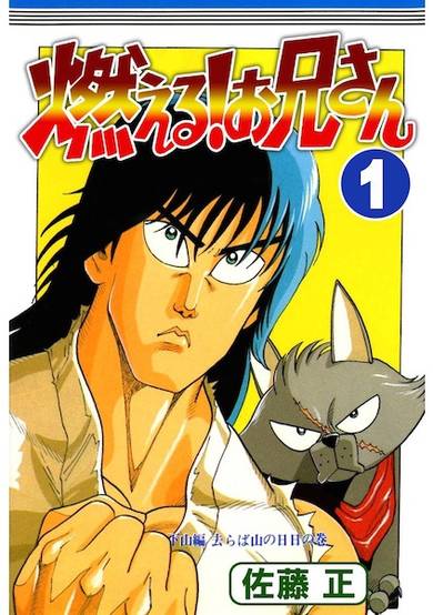 Copertina di Moeru! Oniisan