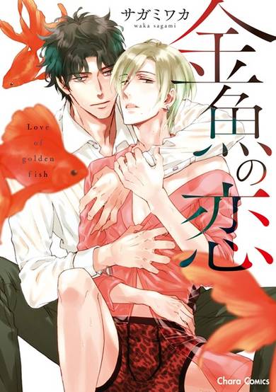 Copertina di Kingyo no Koi