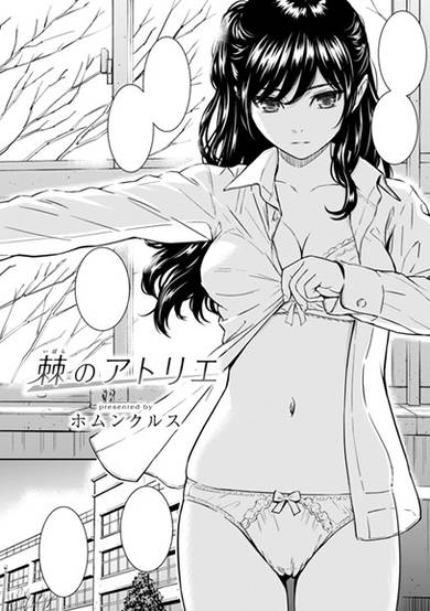 Copertina di Ibara no Atelier
