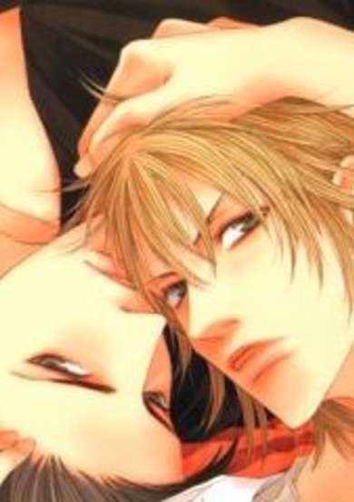 Copertina di Libido