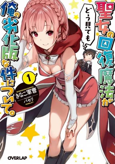 Copertina di Seijo no Kaifuku Mahou ga Dou Mitemo Ore no Rekkaban na Ken ni Tsuite.