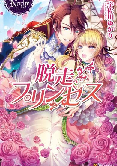 Copertina di Dassou Princess