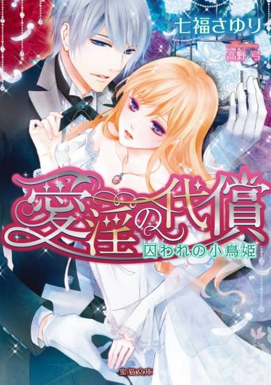 Copertina di Aiin no Daishou: Toraware no Kotori-hime