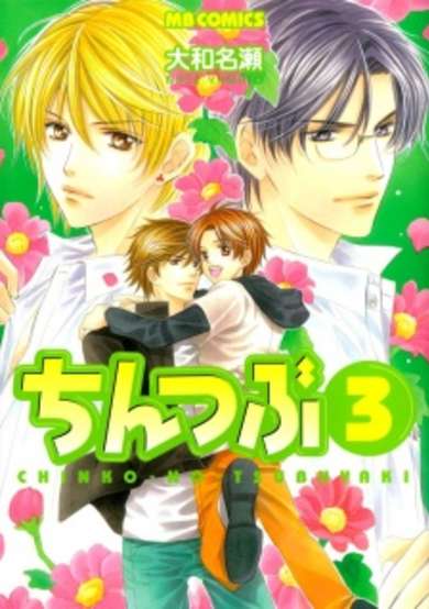 Copertina di Chintsubu